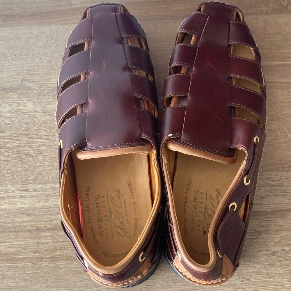 Sperry Men's Dark Brown Leather Boat Shoes